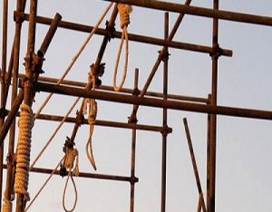 358e45552294ae64f811be8eeef3248a_L