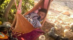 photo_2016-08-06_19-47-35